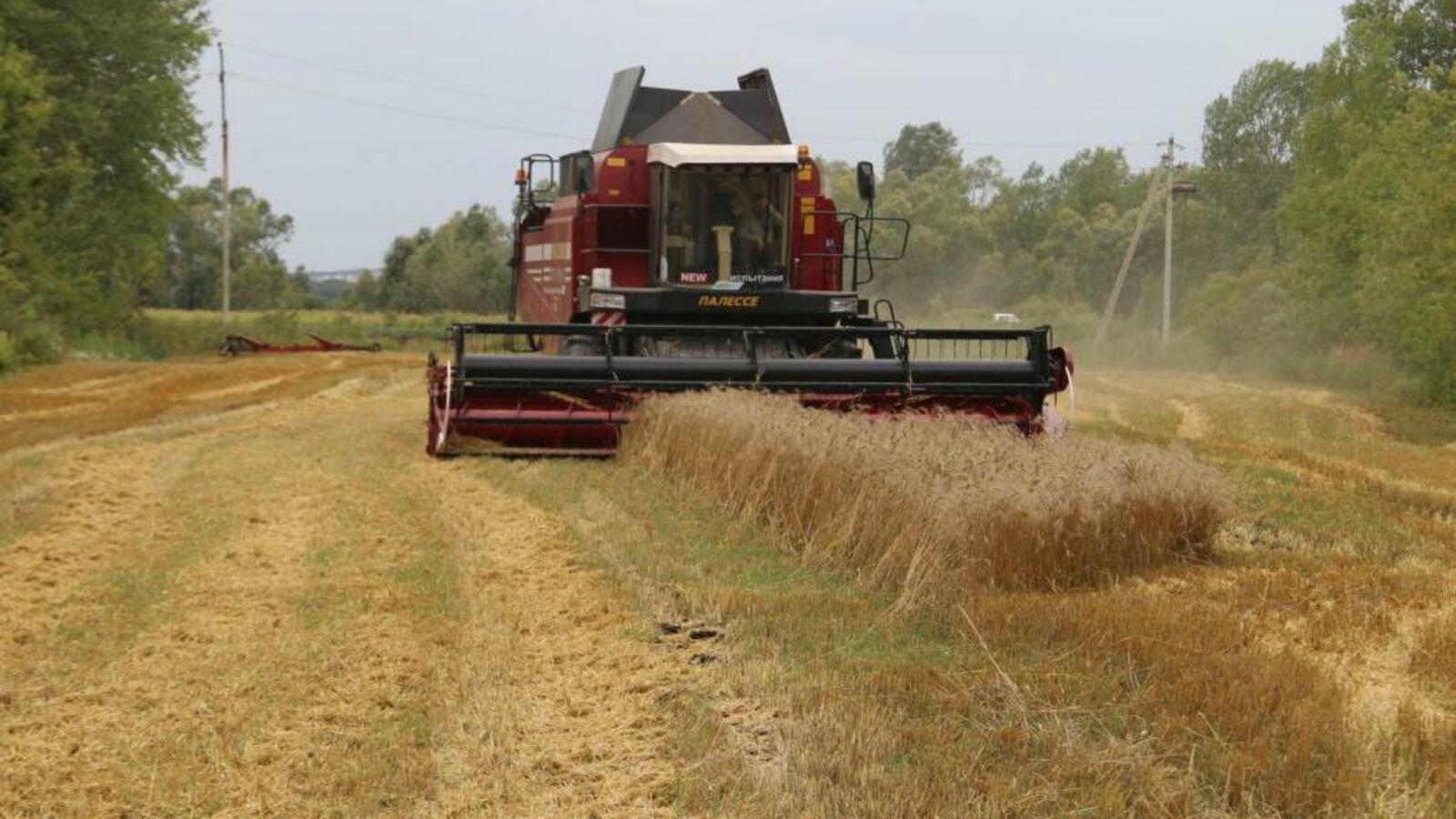 Минсельхоз РБ