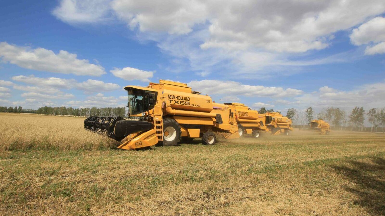 Андрей Старостин