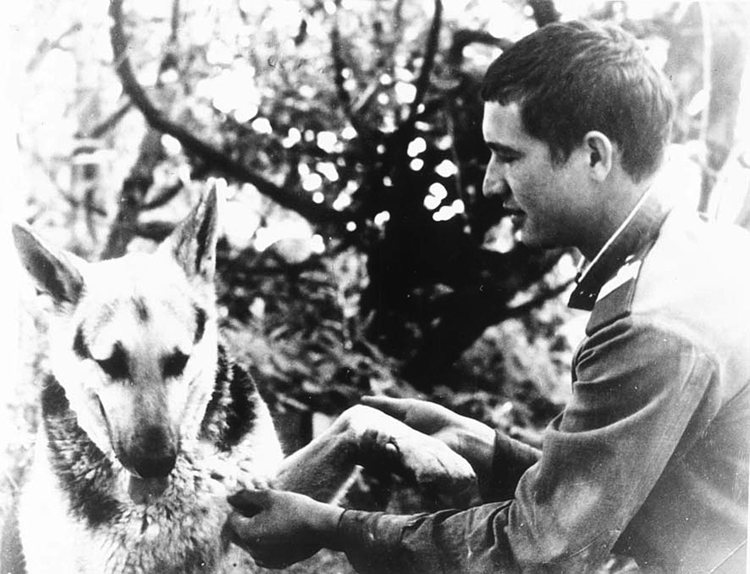 пресс-служба МВД по РБ архив