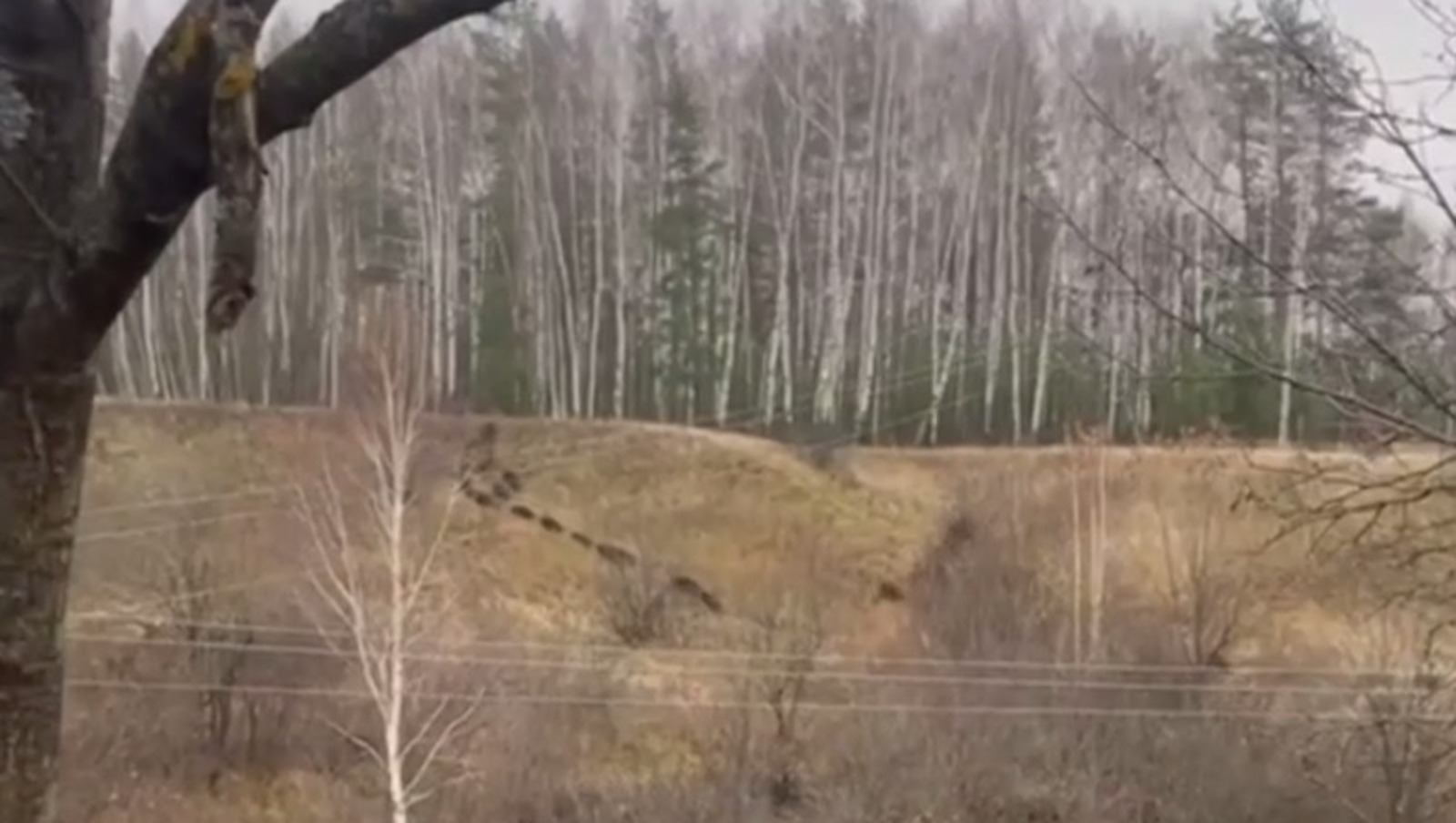 pravda-nn.ru стоп-кадр видео