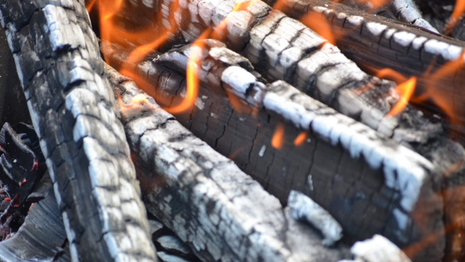 Ксения Калинина