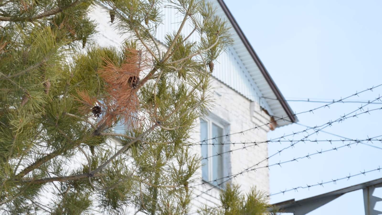 Ксения Калинина