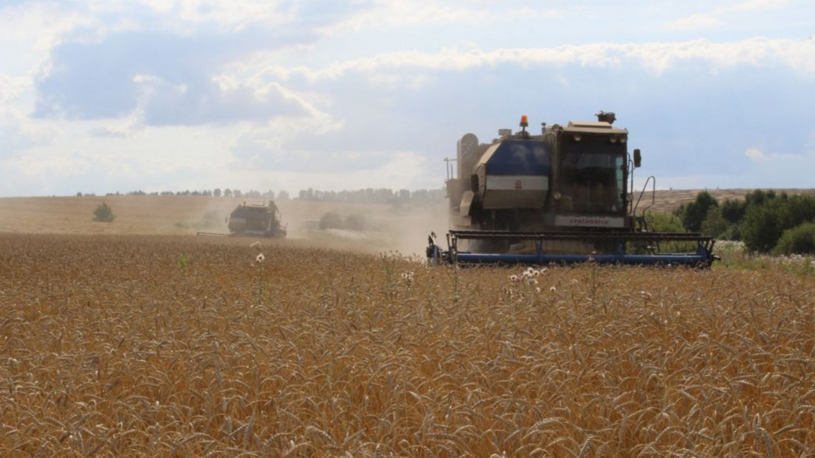 Минсельхоз РБ