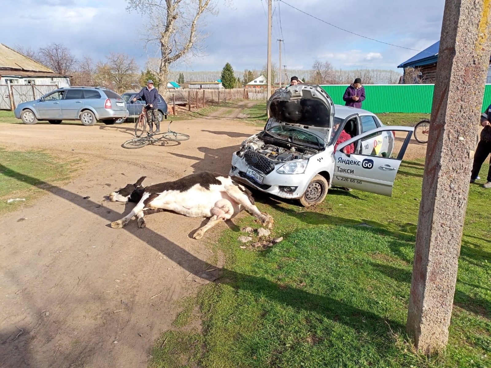 Водитель такси насмерть сбил коров в селе в Башкирии