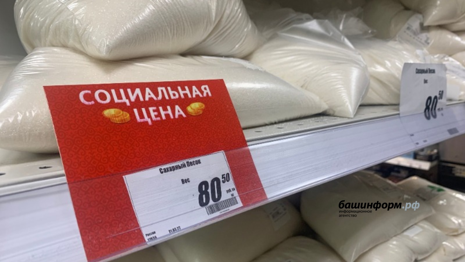Галина Бахшиева
