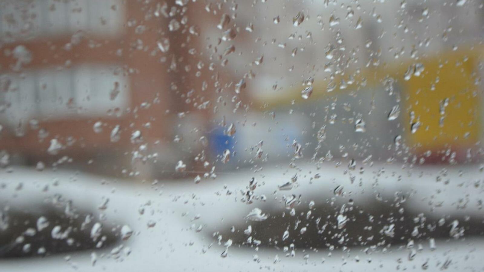 Ксения Калинина