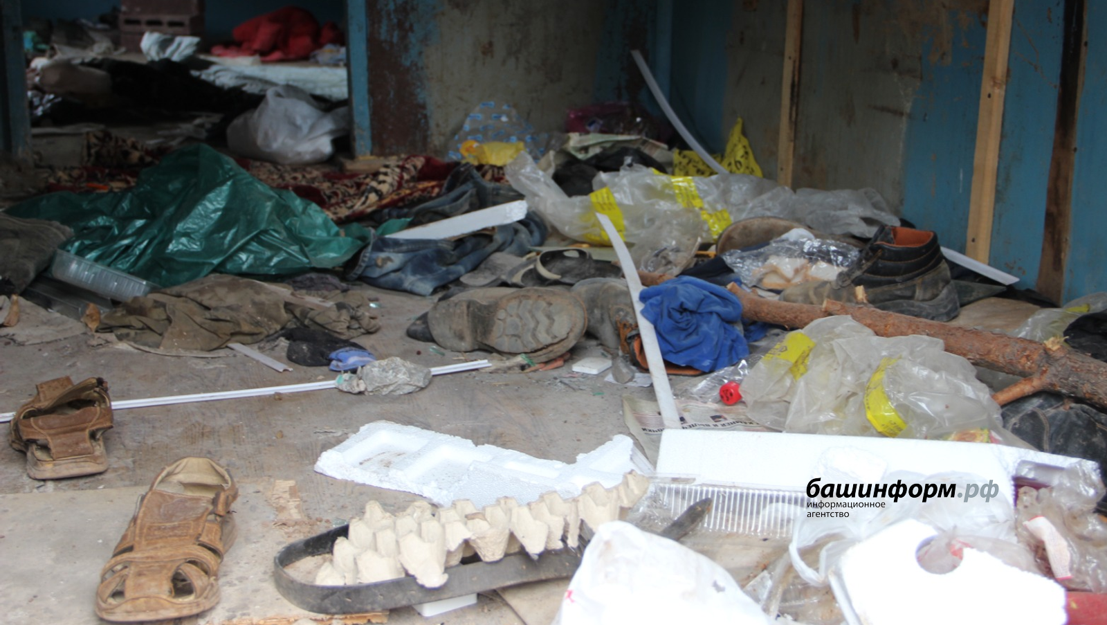 Ксения Калинина