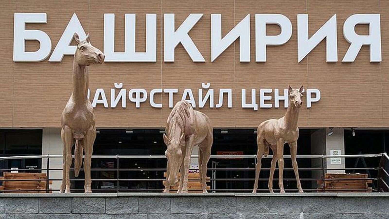 сайт «Комсомольская правда»