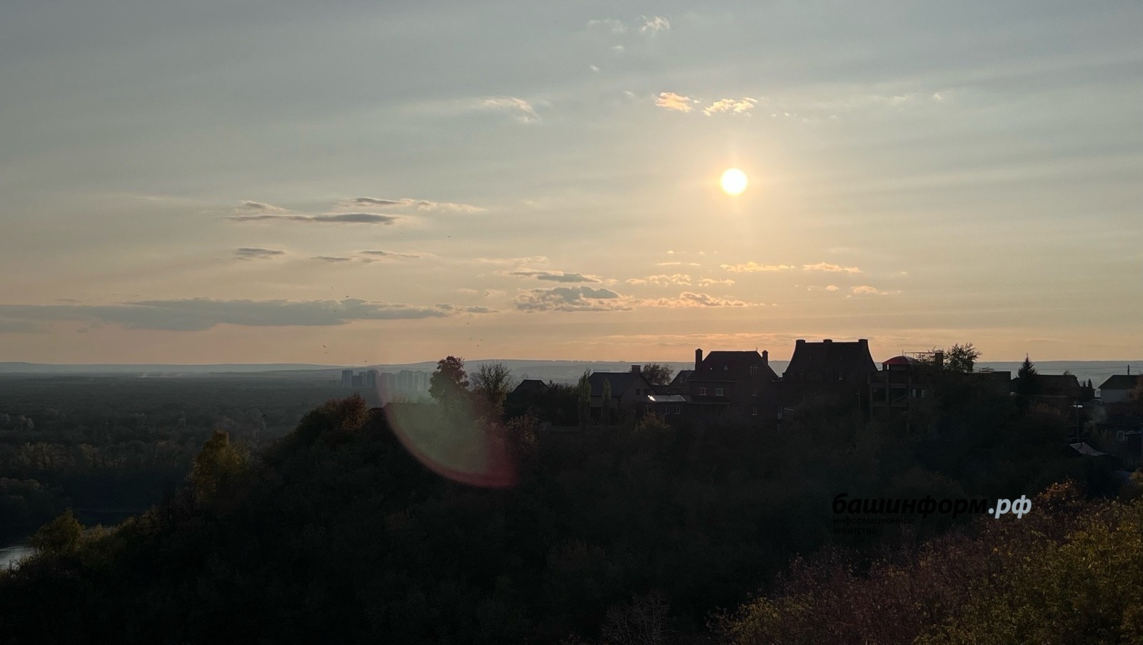 Ксения Калинина