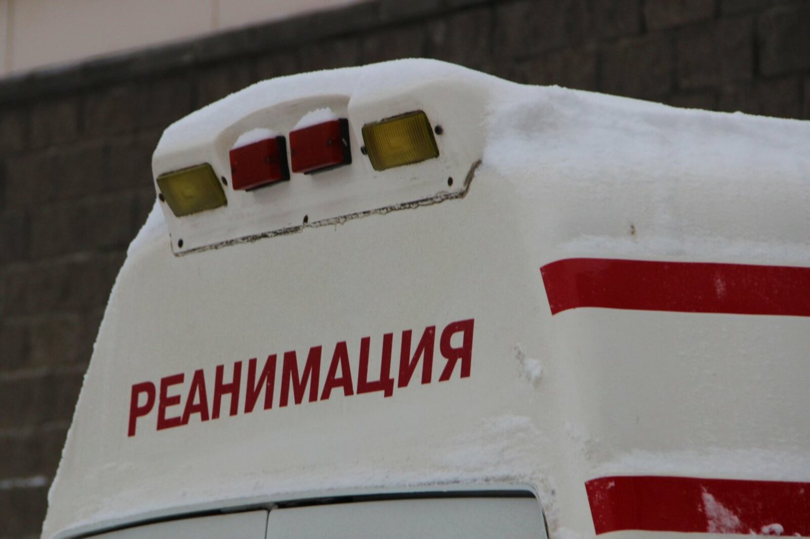 Ксения Калинина