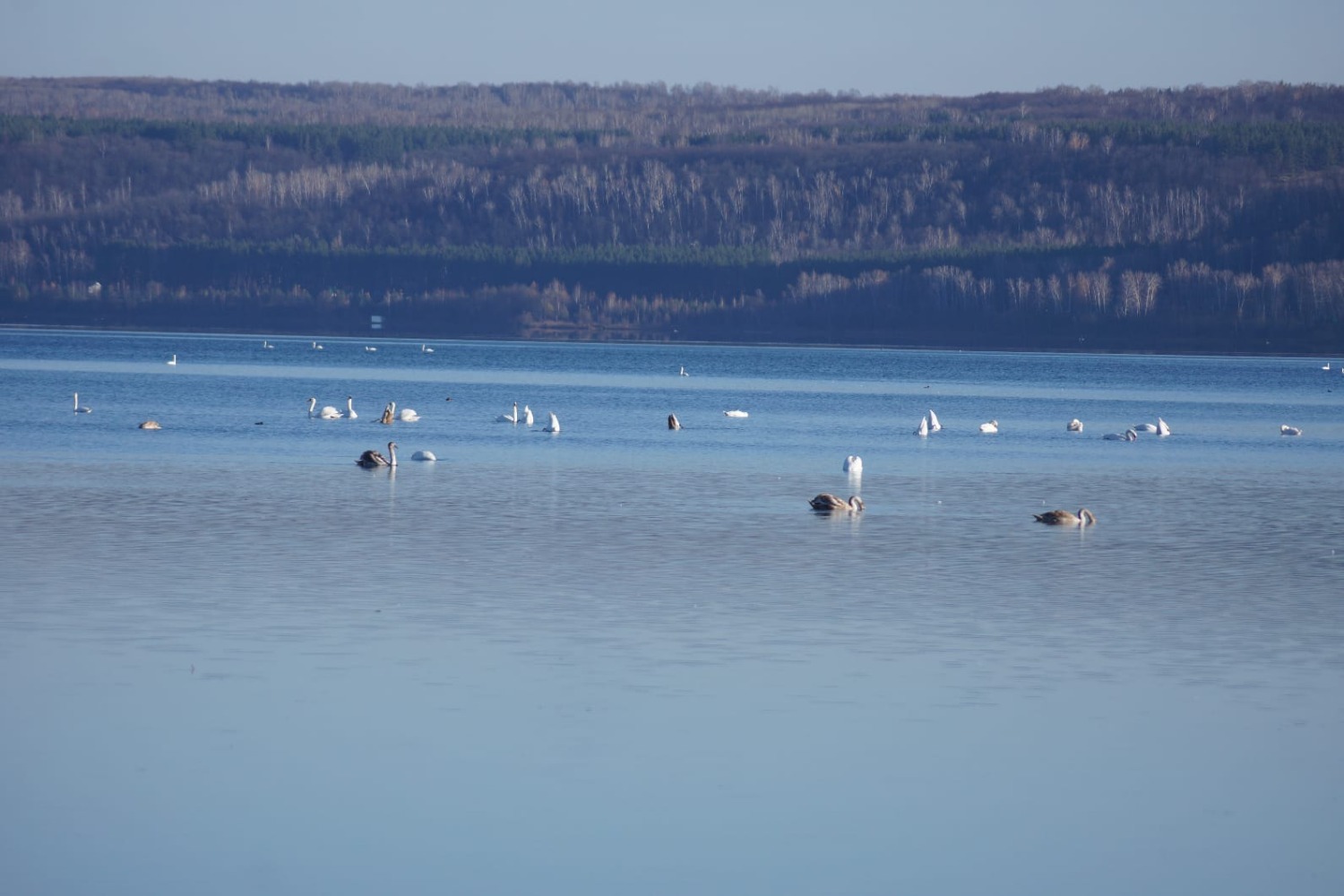 Ирина Сабирова минэкологии РБ