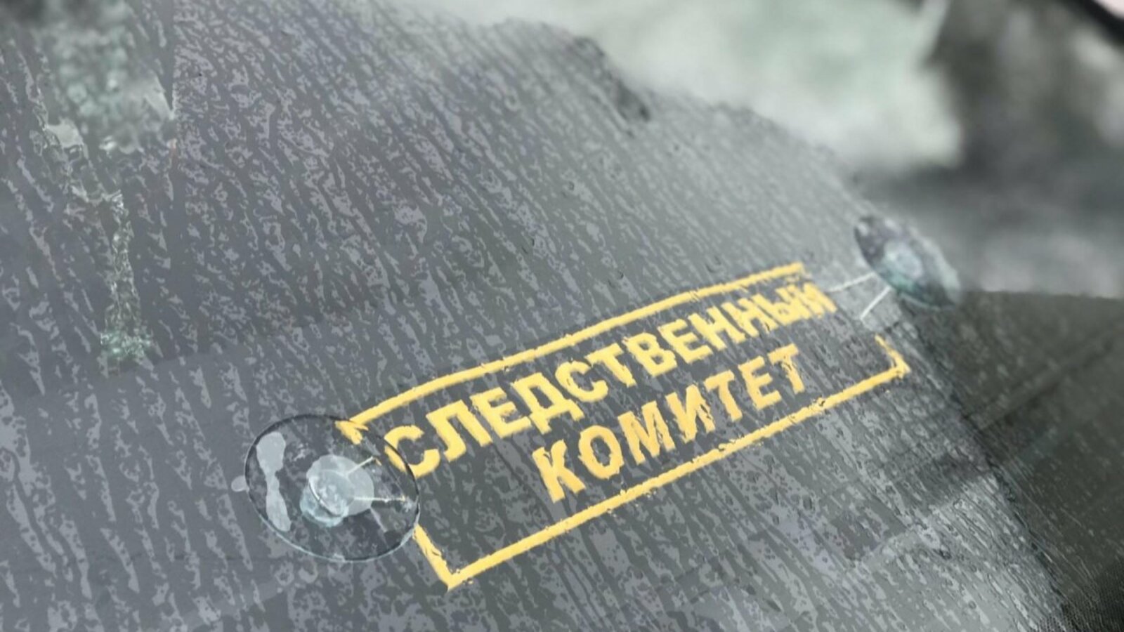 Ксения Калинина