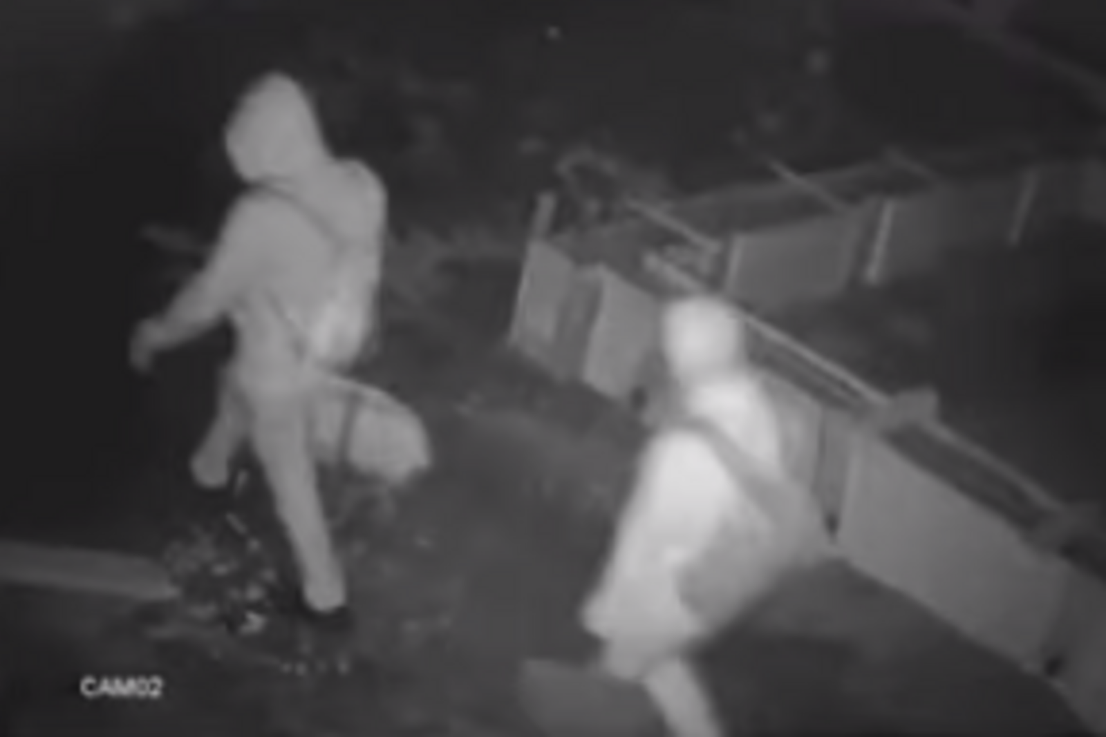 Скриншот видео