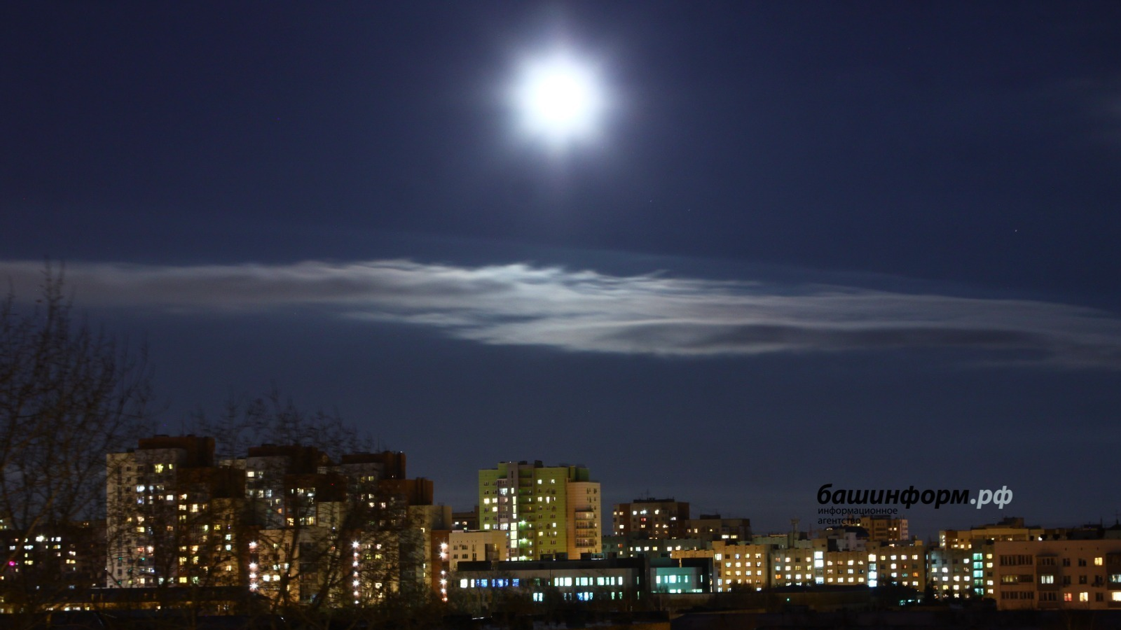 Валерий Шахов