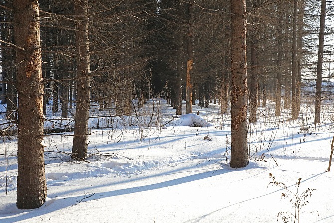Пресс-служба Администрация г. Уфы