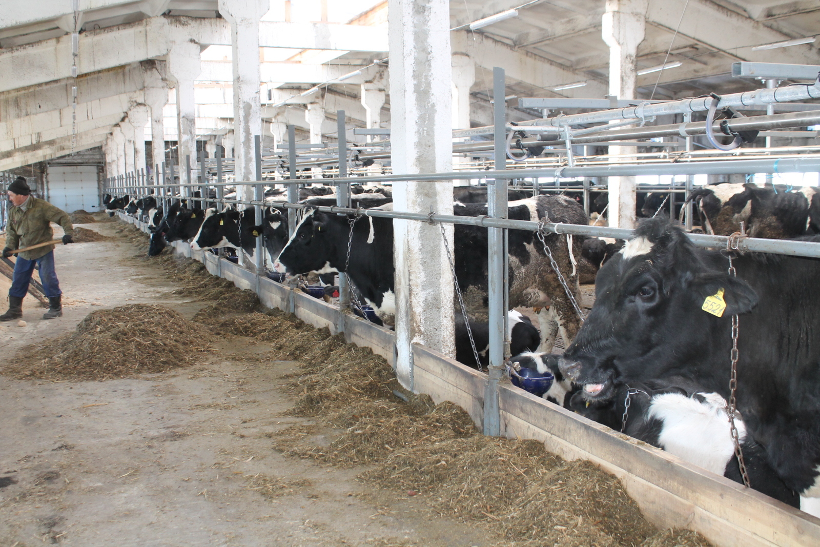 Абзелил вошел в ТОП-5 районов республики  по продуктивности коров