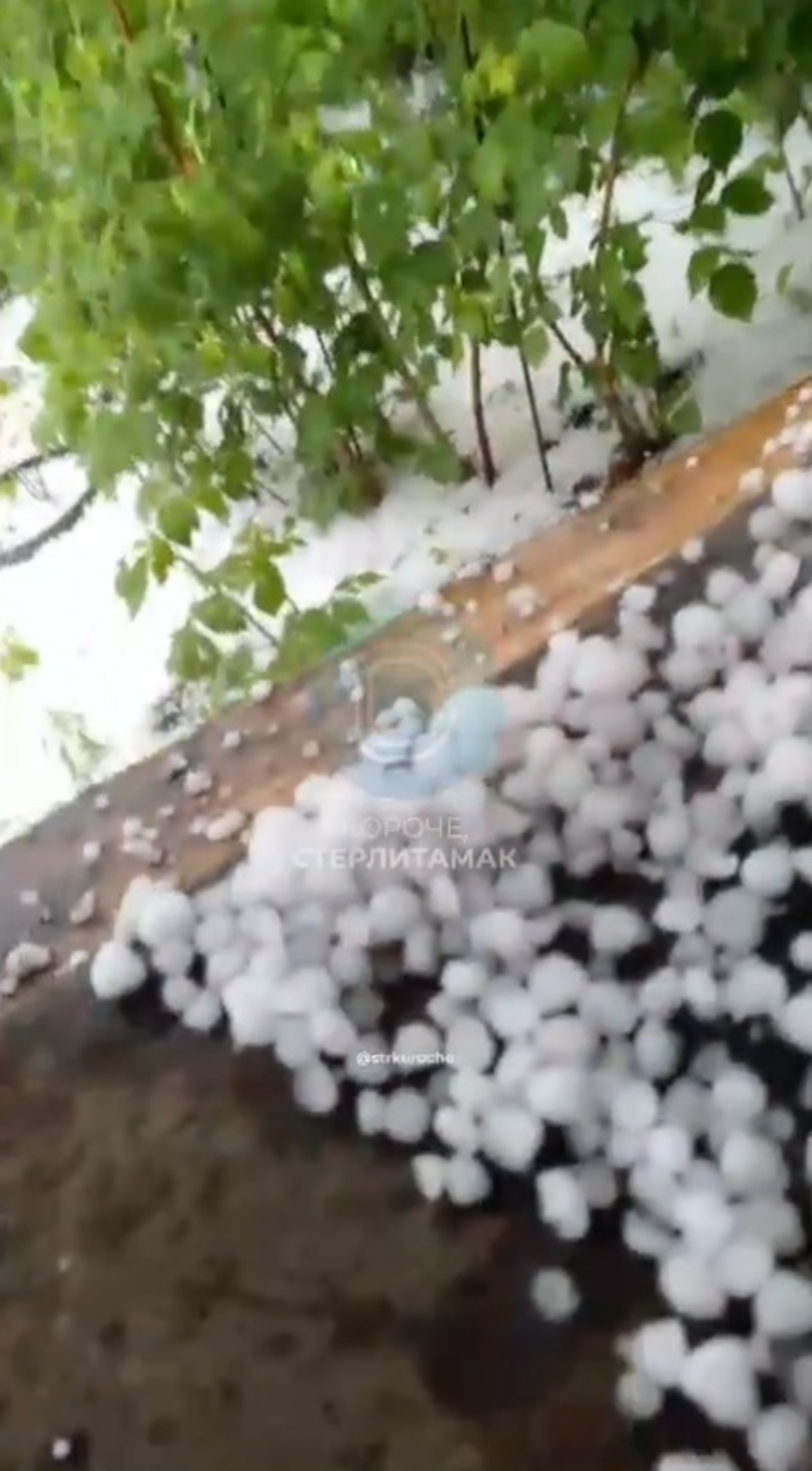 скриншот видео