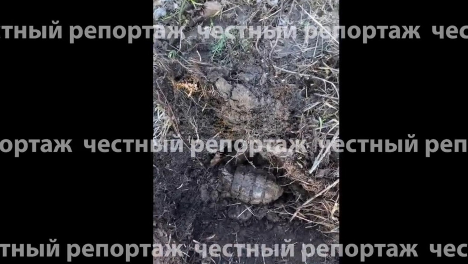 Честный репортаж | Мах