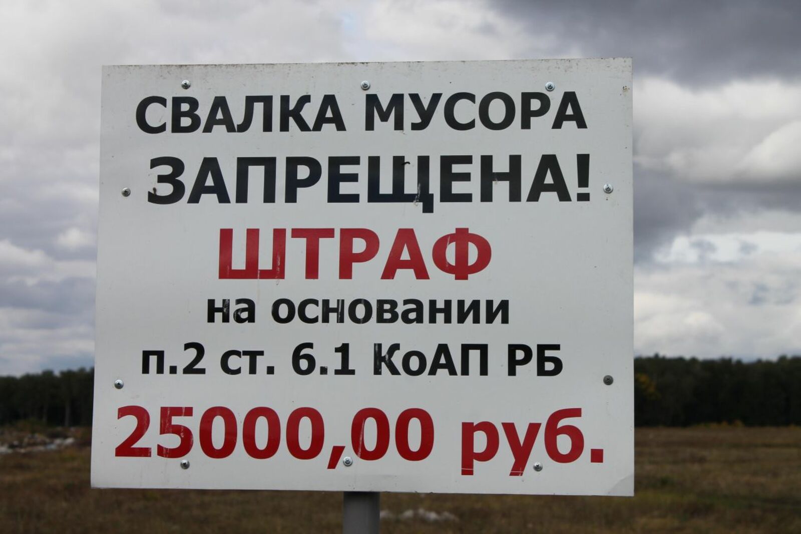 региональный штаб ОНФ