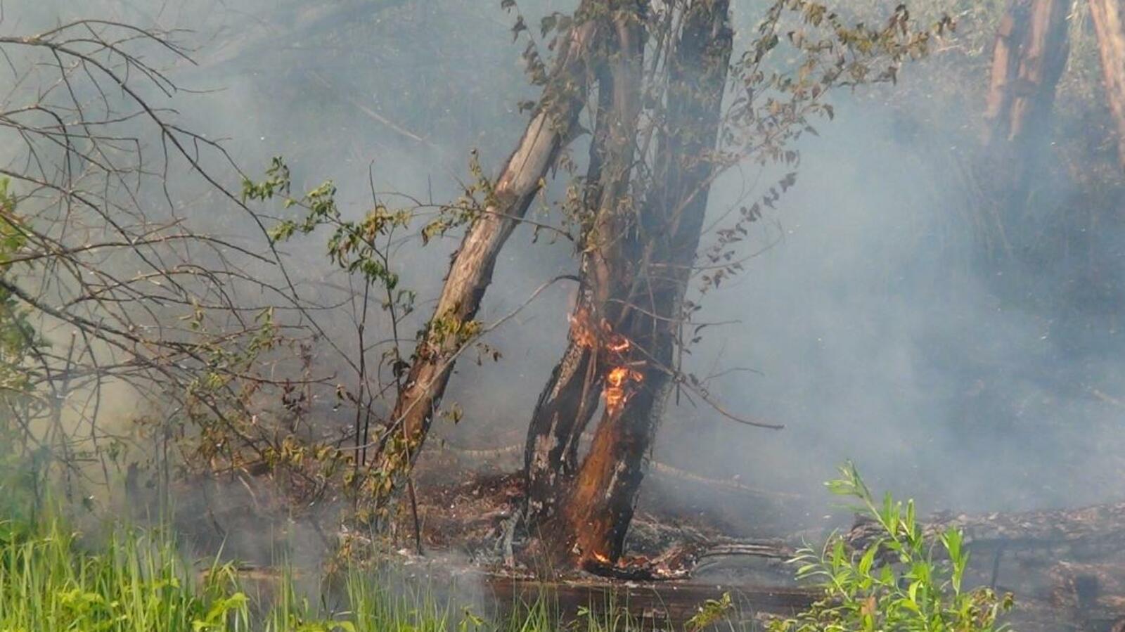 ИА «Башинформ»