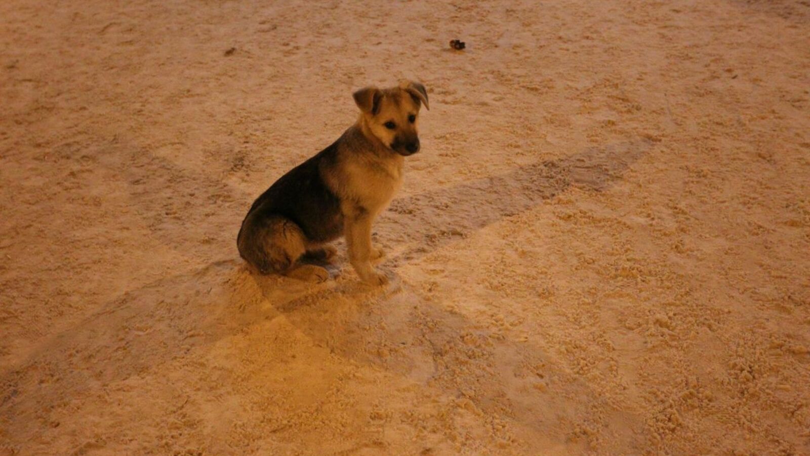 Олег Яровиков