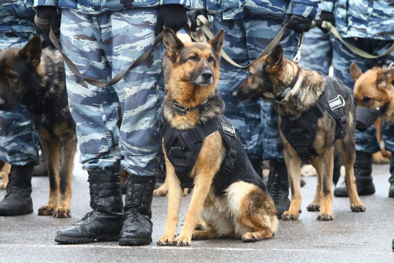 Олег Яровиков