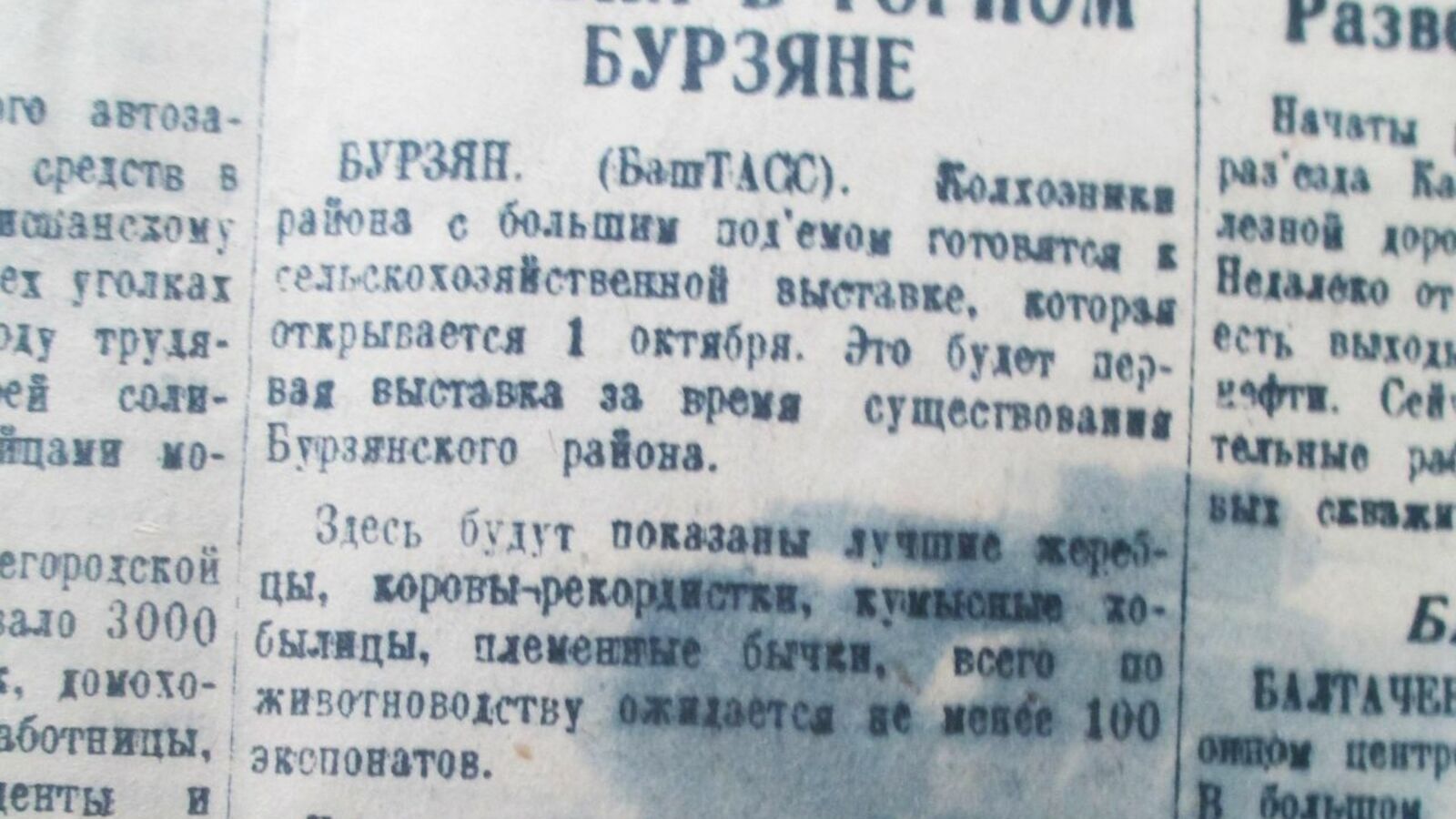 Книжная палата РБ