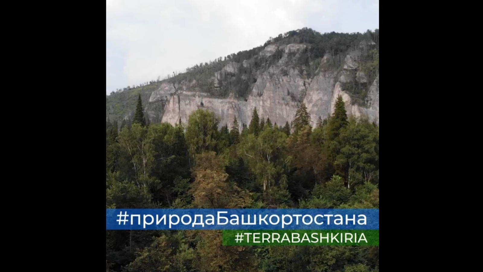 соцсети Радия Хабирова