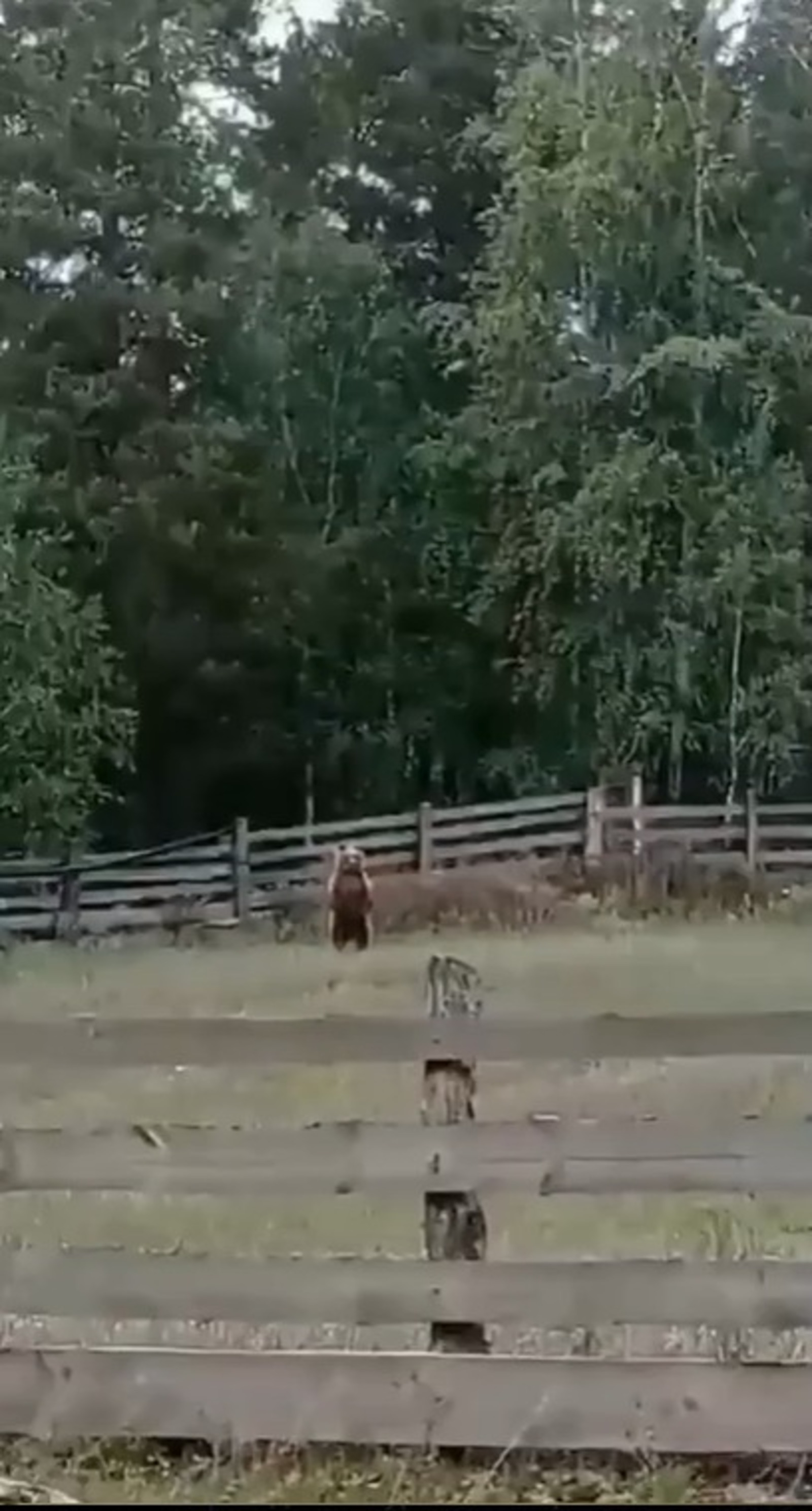 скриншот видео