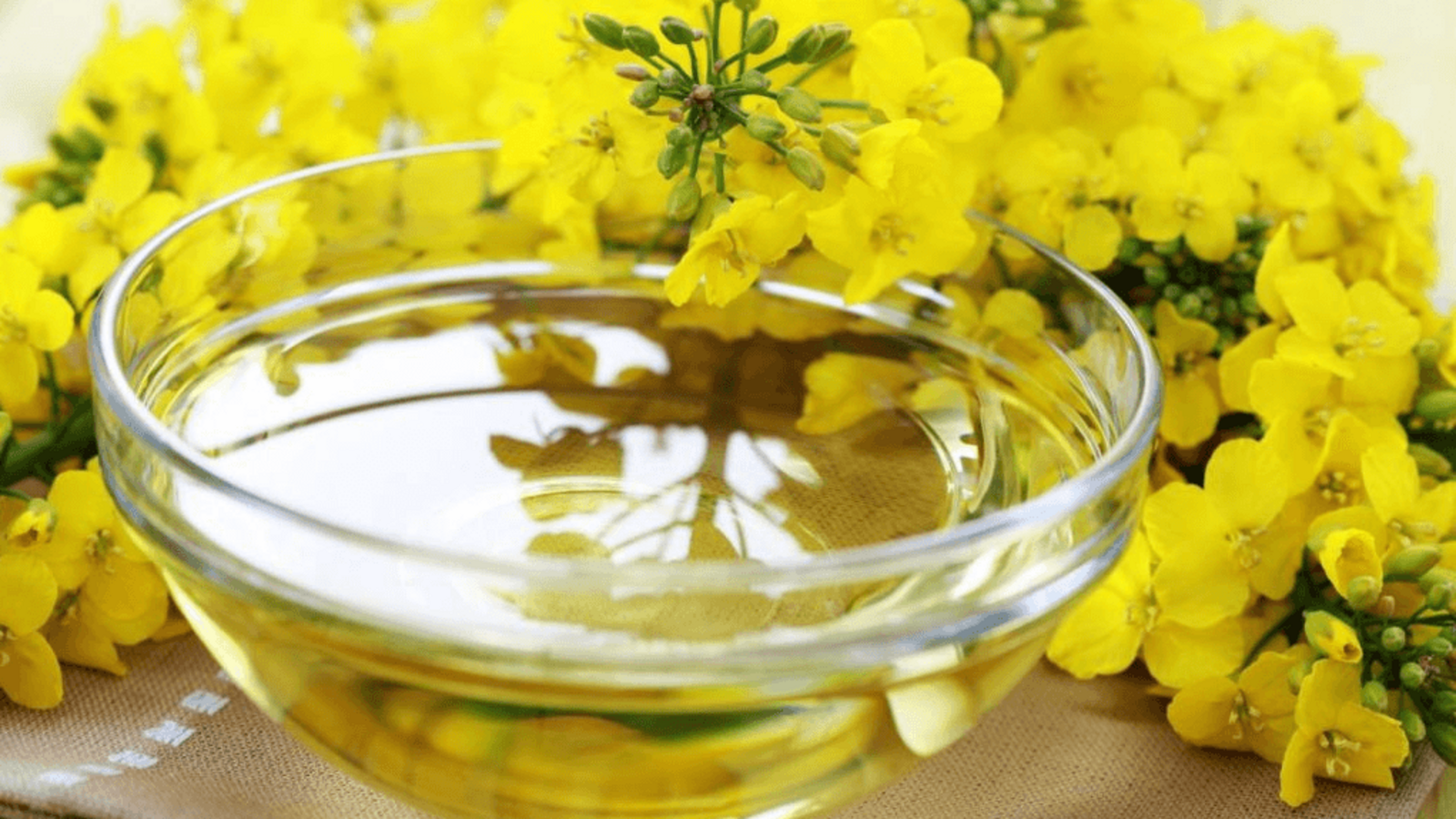 Минсельхоз РБ