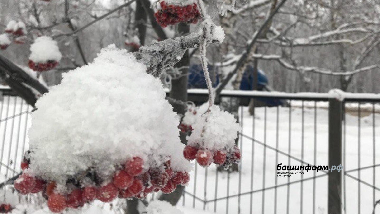 Ксения Калинина  ИА «Башинформ»