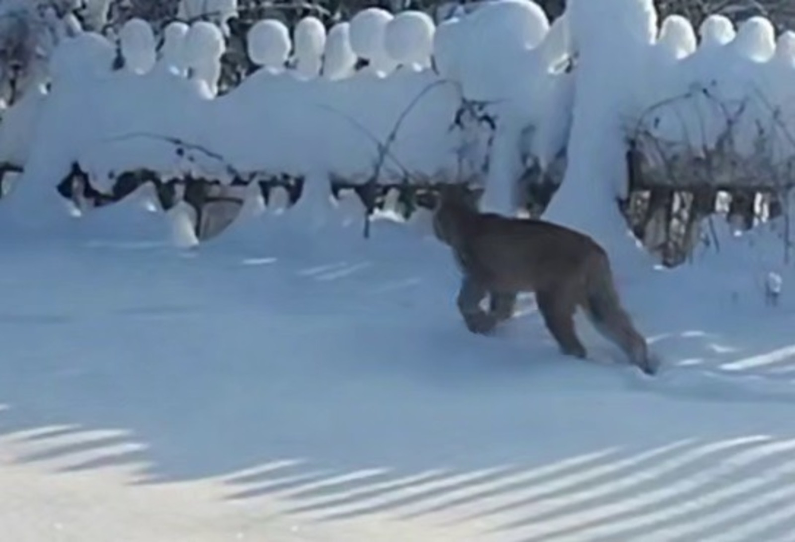 стоп-кадр из видео Нижегородская правда