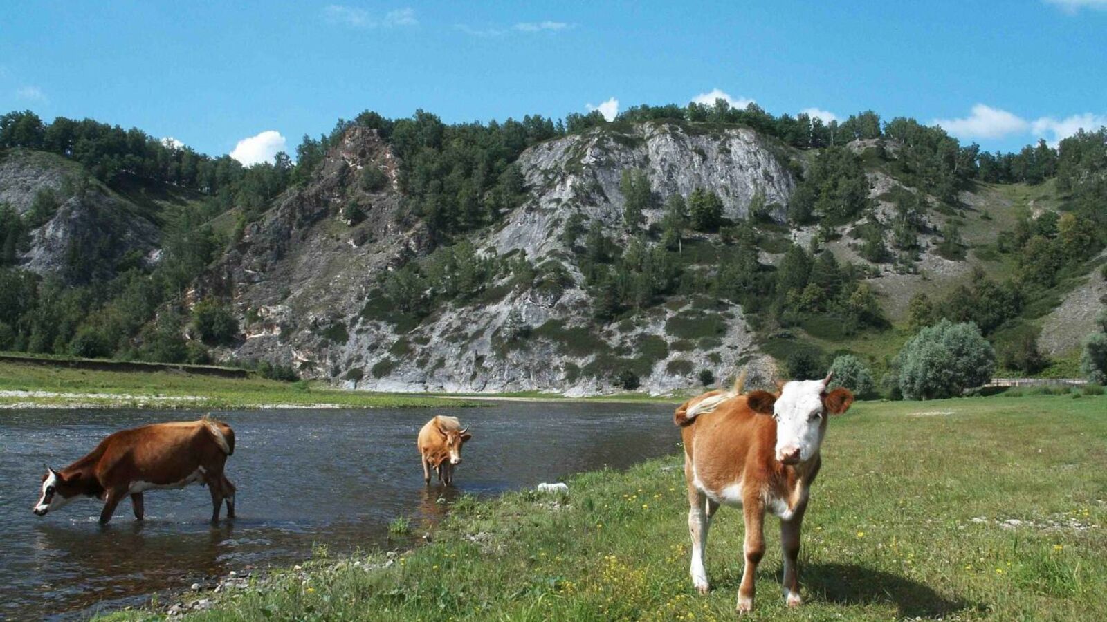 Андрей Старостин