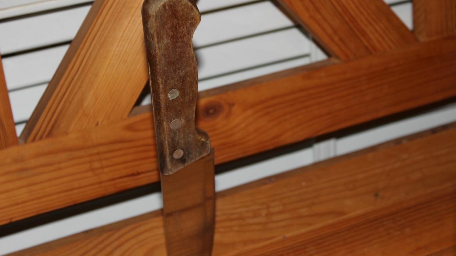 Карина Камаева