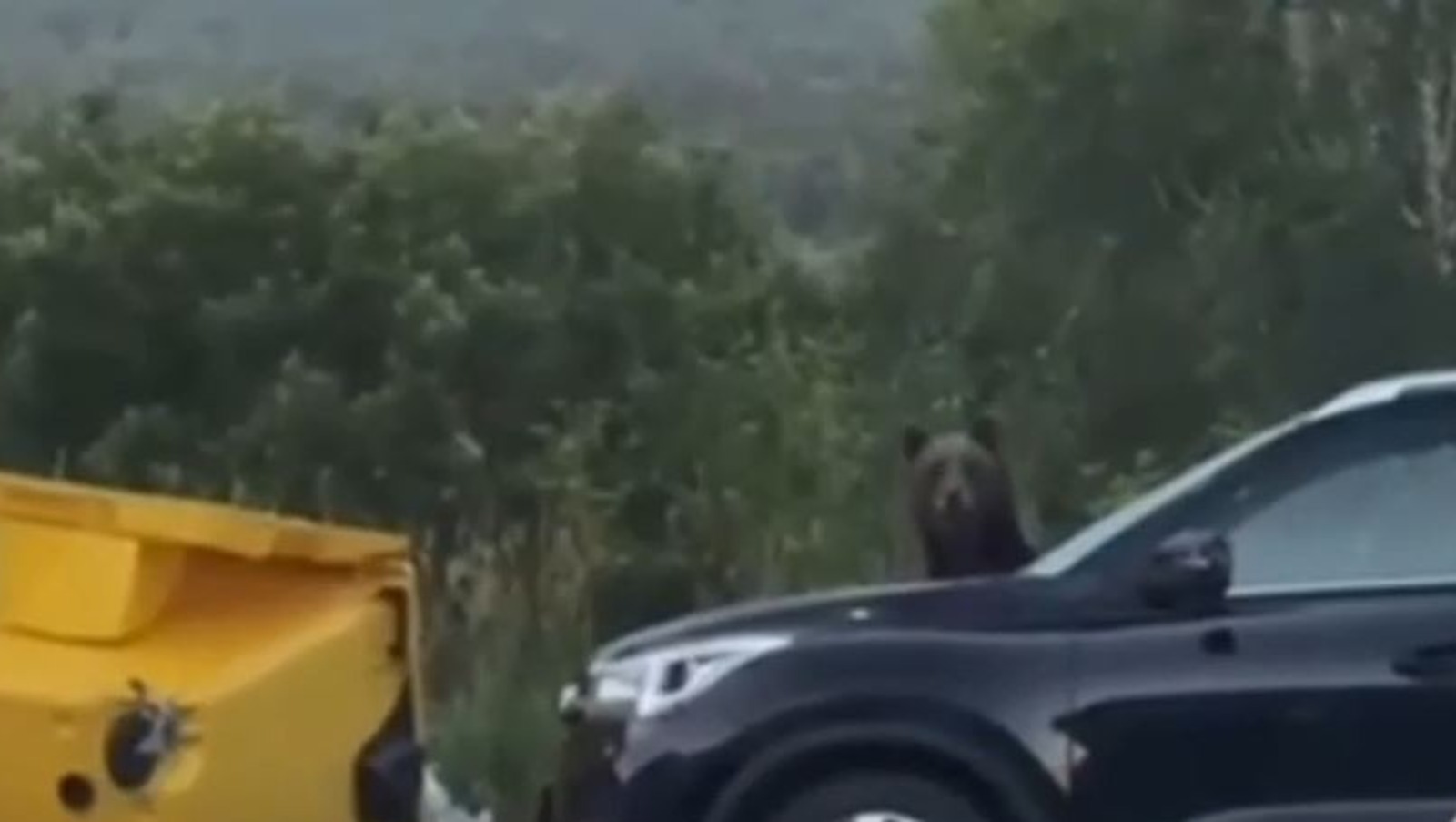 скриншот видео