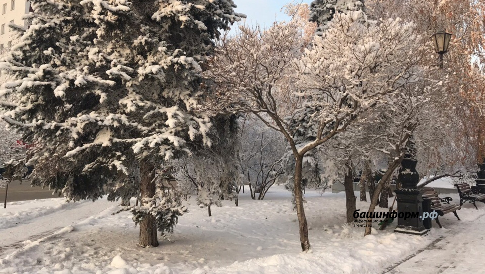 Ксения Калинина ИА Башинформ