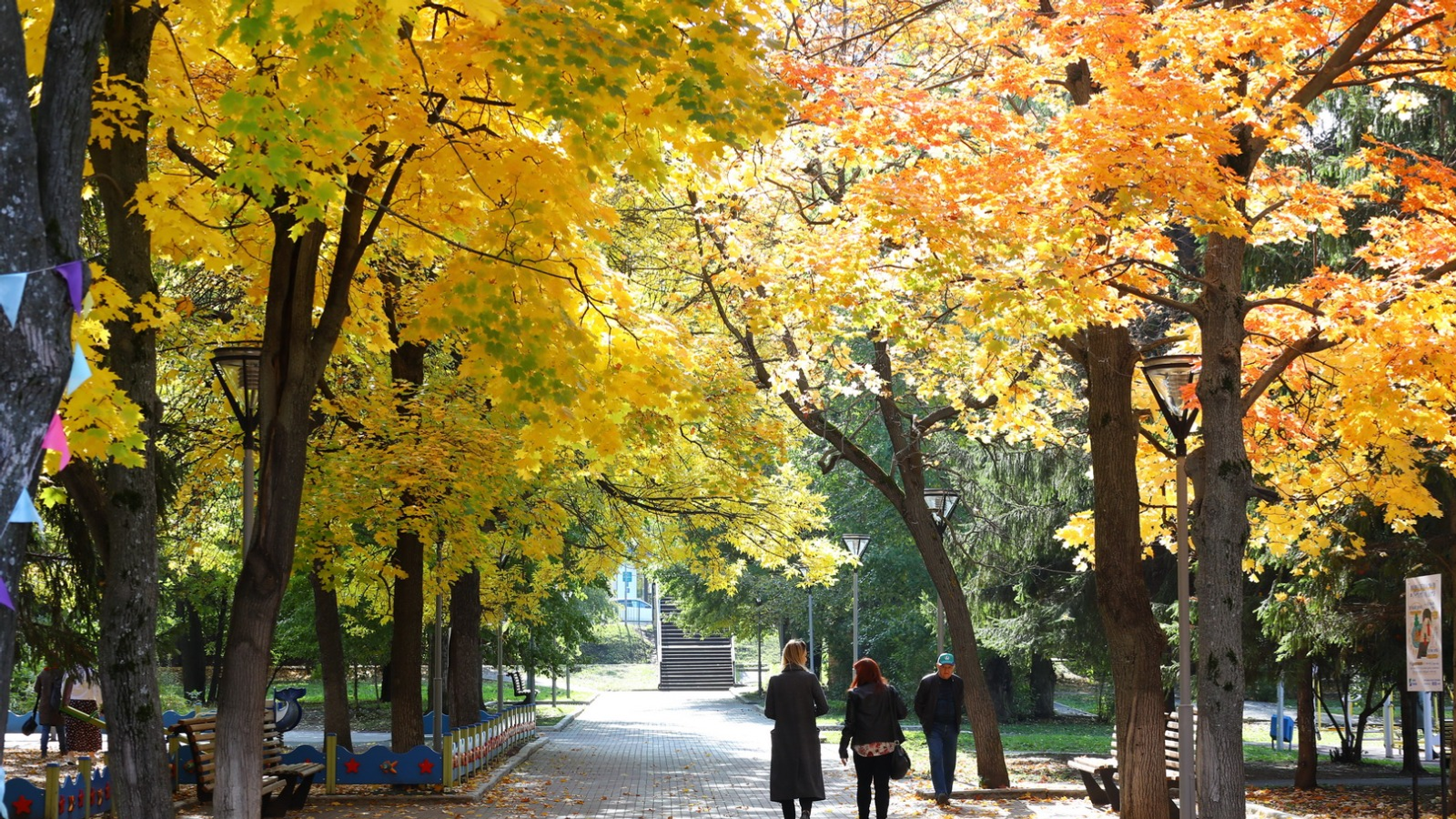 Валерий Шахов