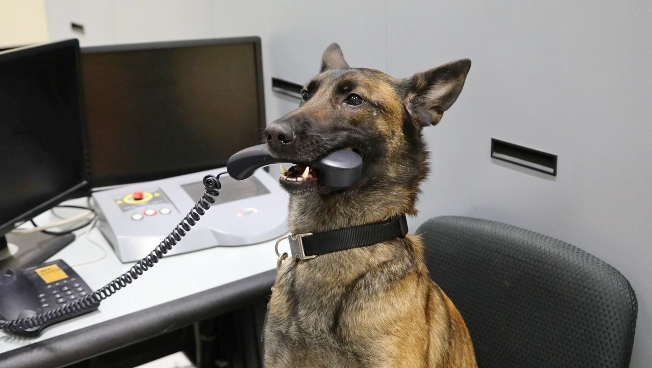 Валерий Шахов