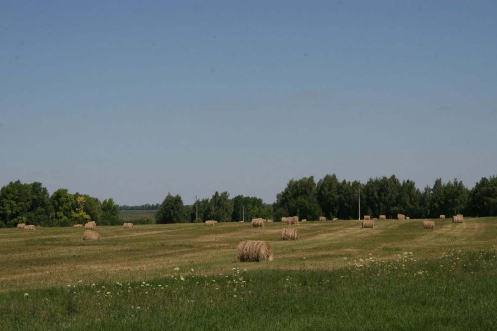 Минсельхоз РБ
