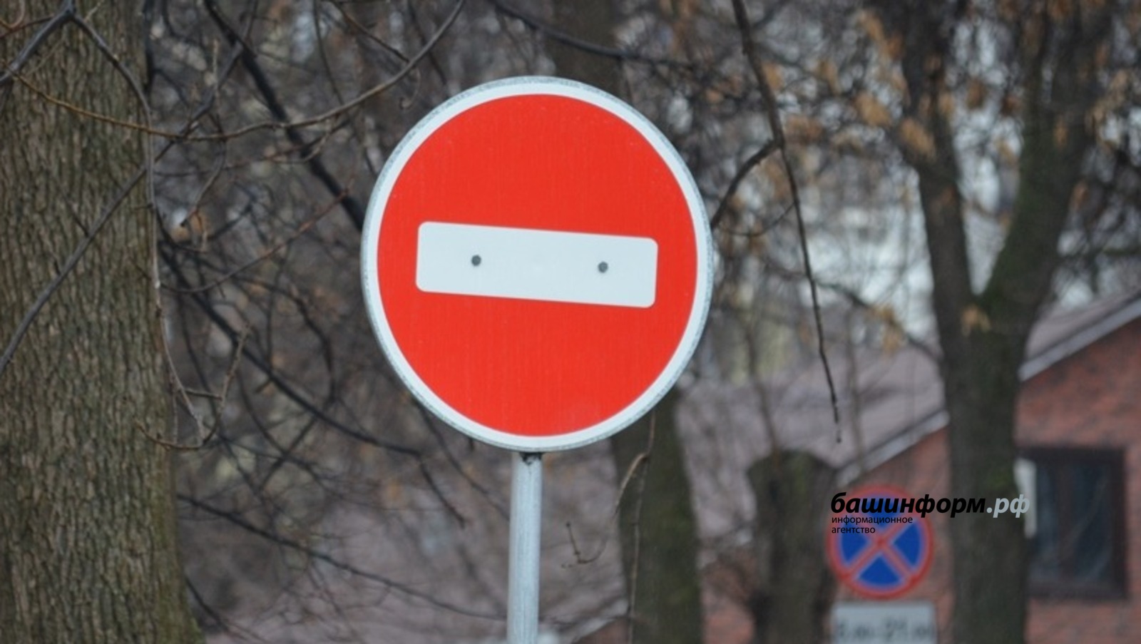 Ксения Калинина
