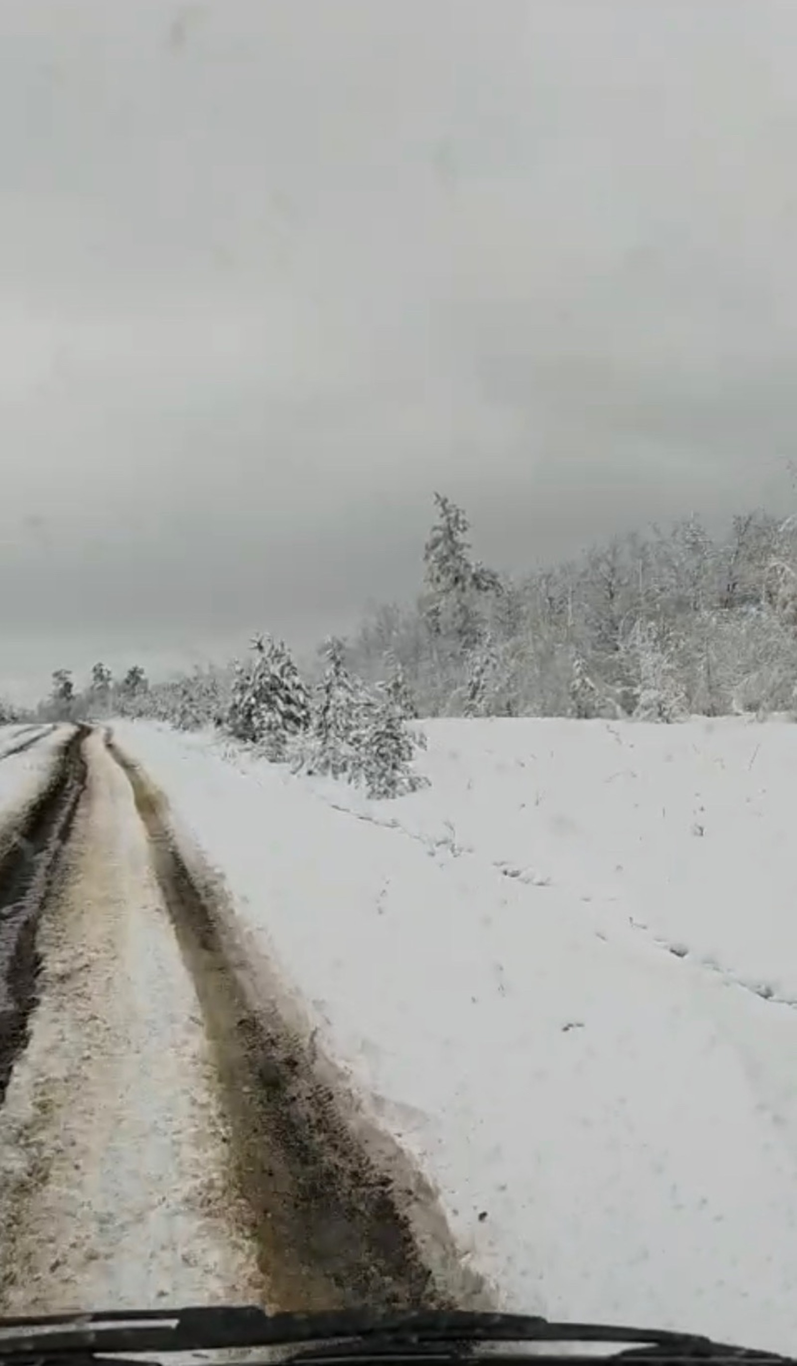 скриншот видео