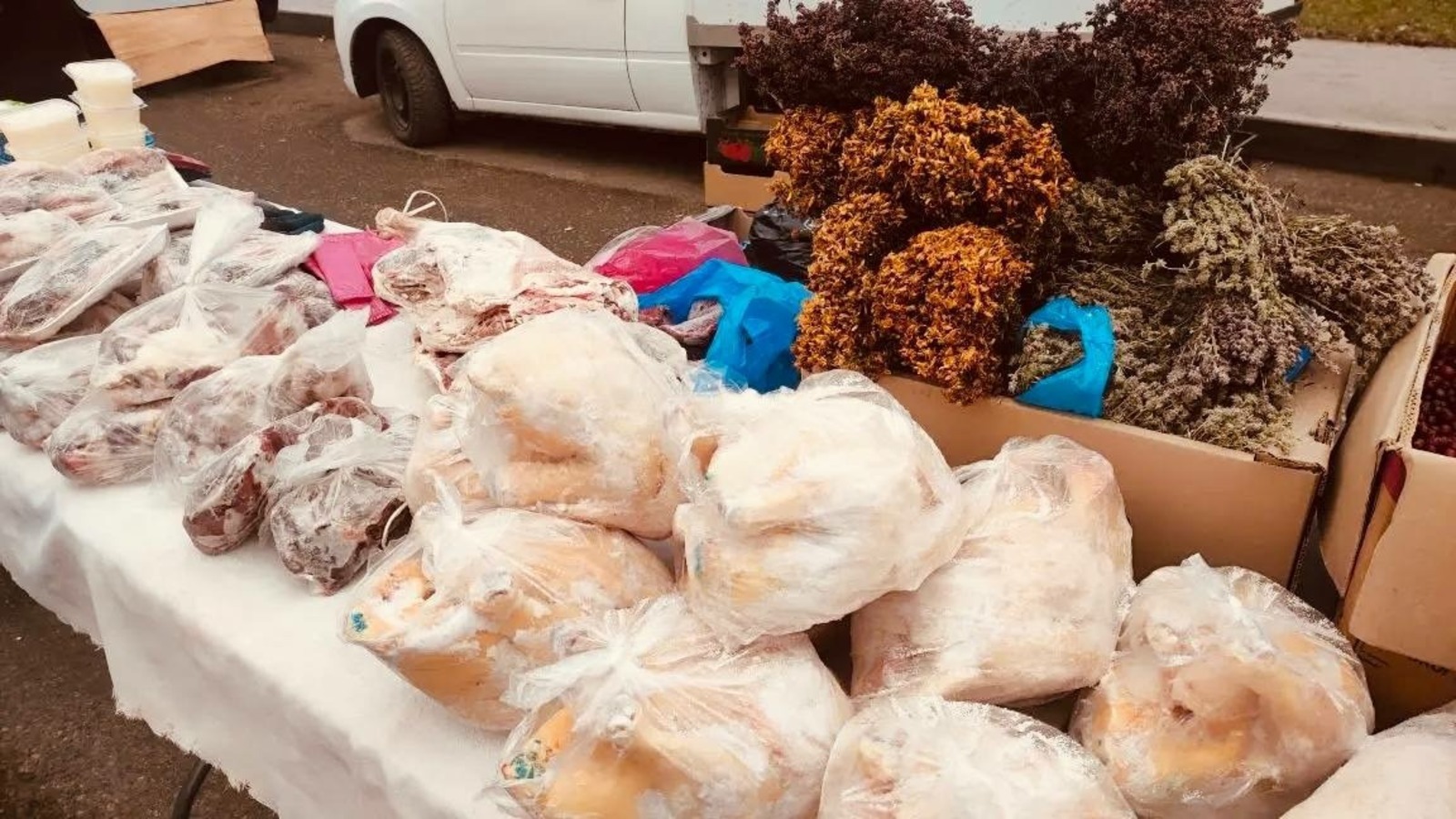 Иван Иванов телеграм-канал, архивное фото