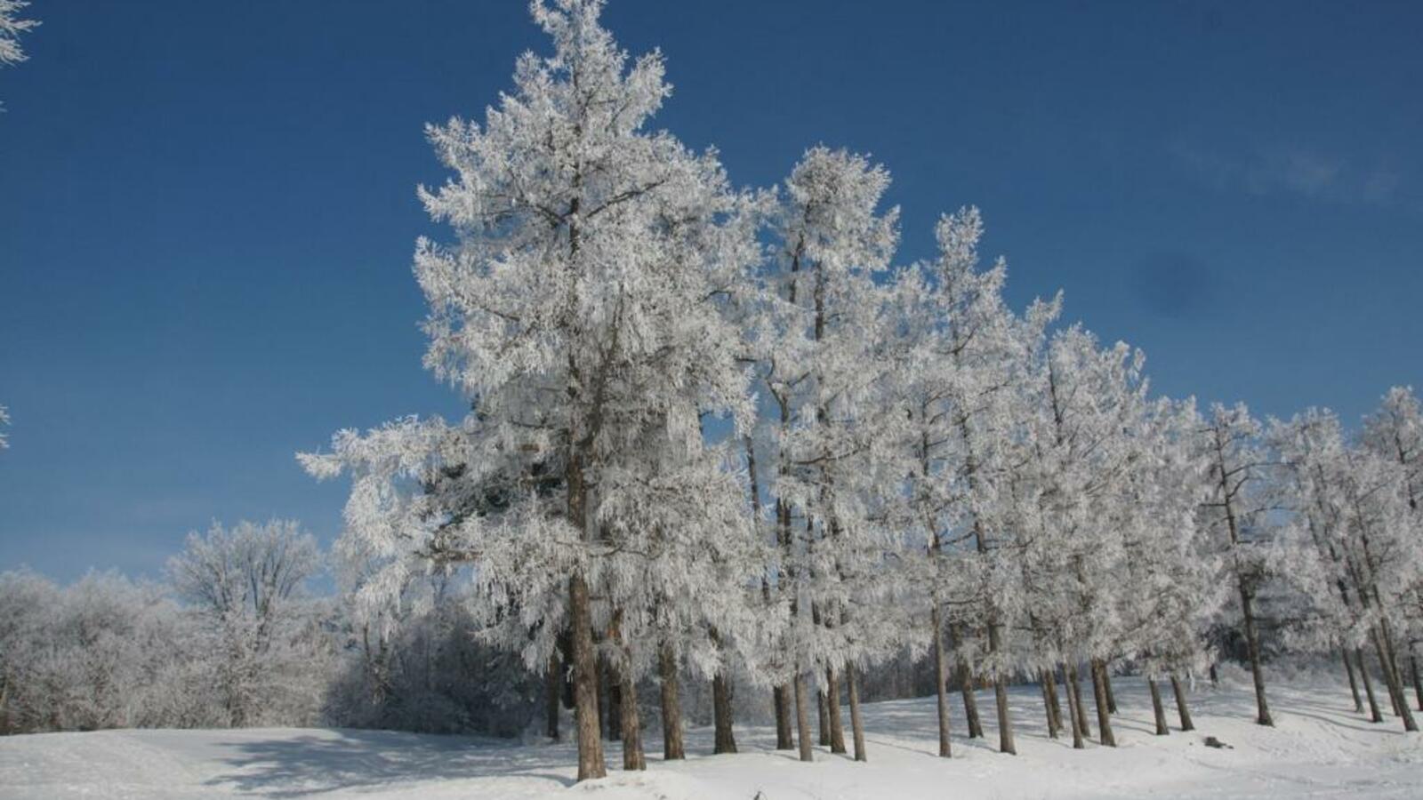 информотдел администрации Куюргазинского района