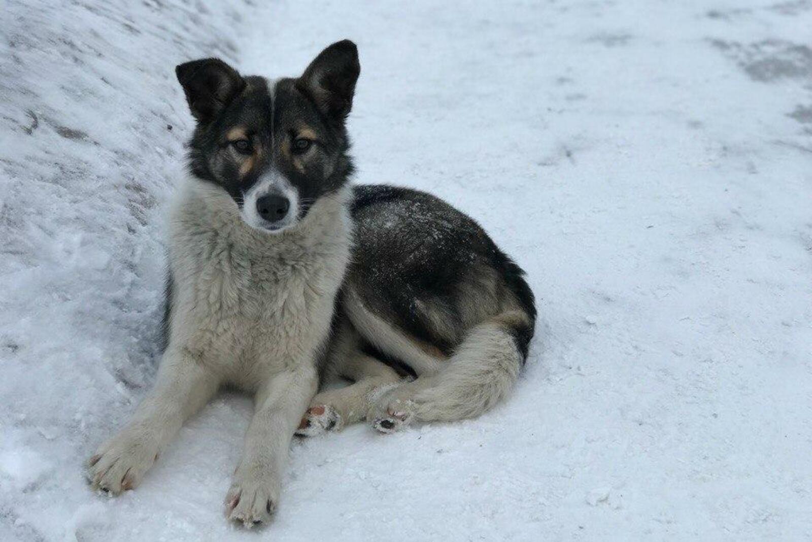 Ксения Калинина