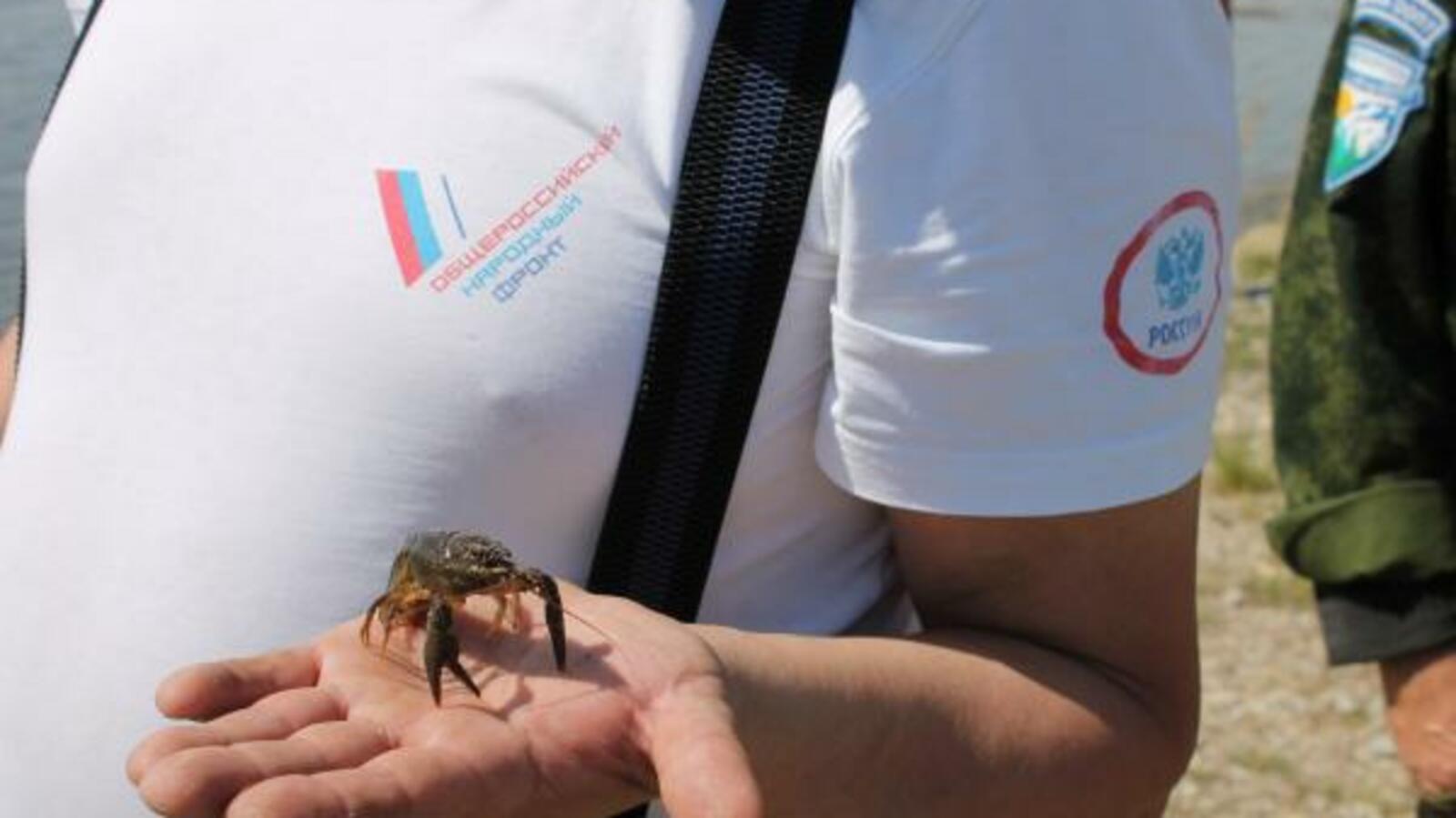 пресс-служба регионального отделения ОНФ