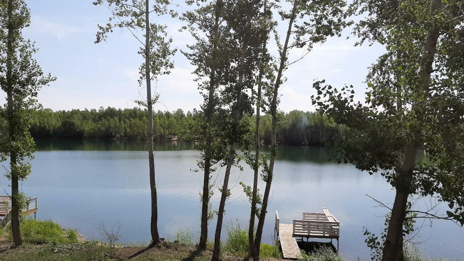 Рушана Ибраева