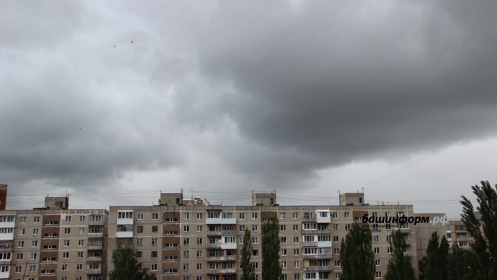Ксения Калинина