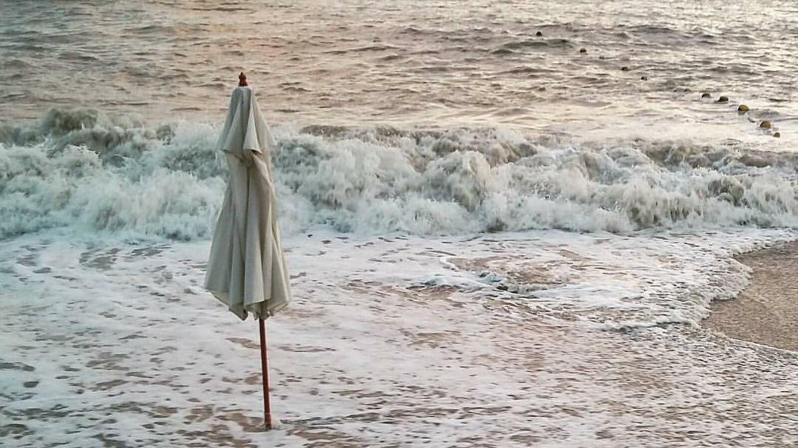 Ксения Калинина