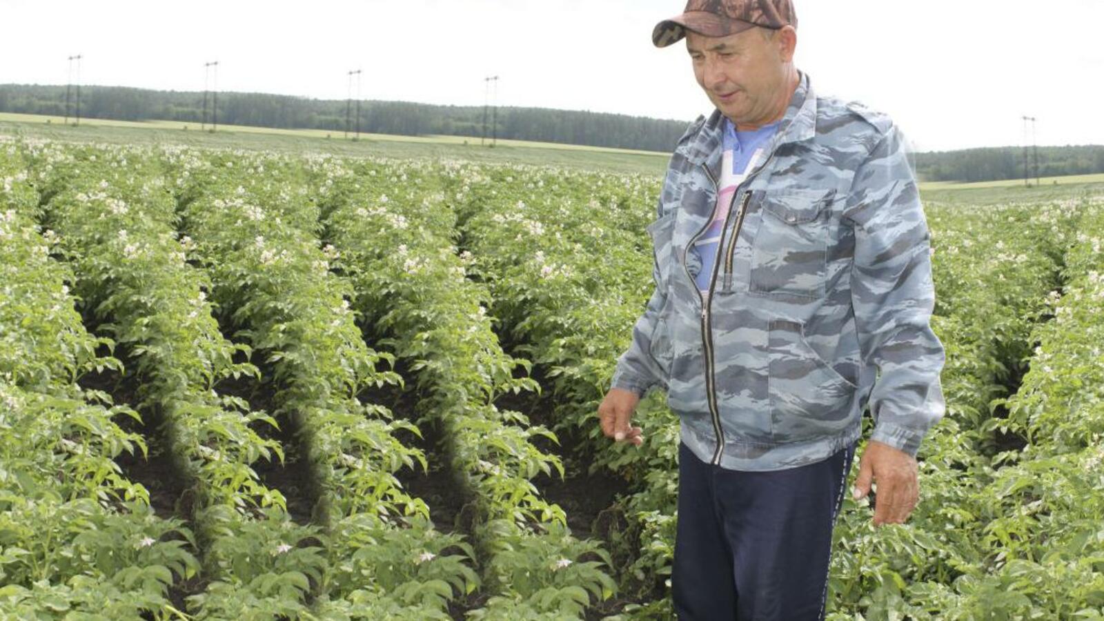 администрация Туймазинского района