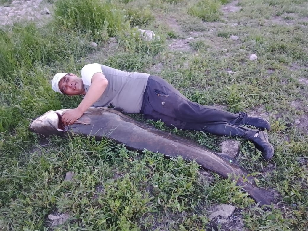 Житель Башкирии поймал сома длиной в два метра и весом в 50 килограмм